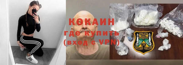 шишки Нягань