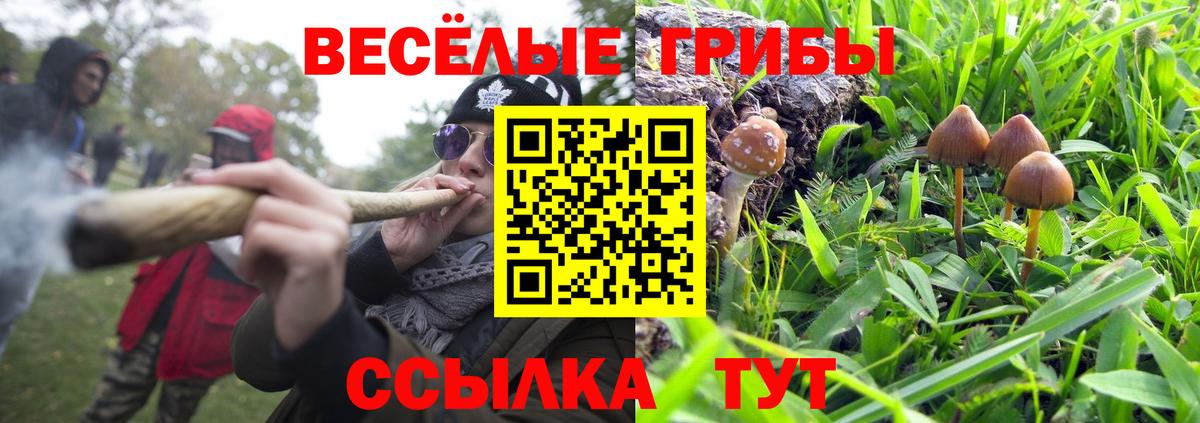 Галлюциногенные грибы MAGIC MUSHROOMS  Галлюциногенные грибы мицелий  Кохма 