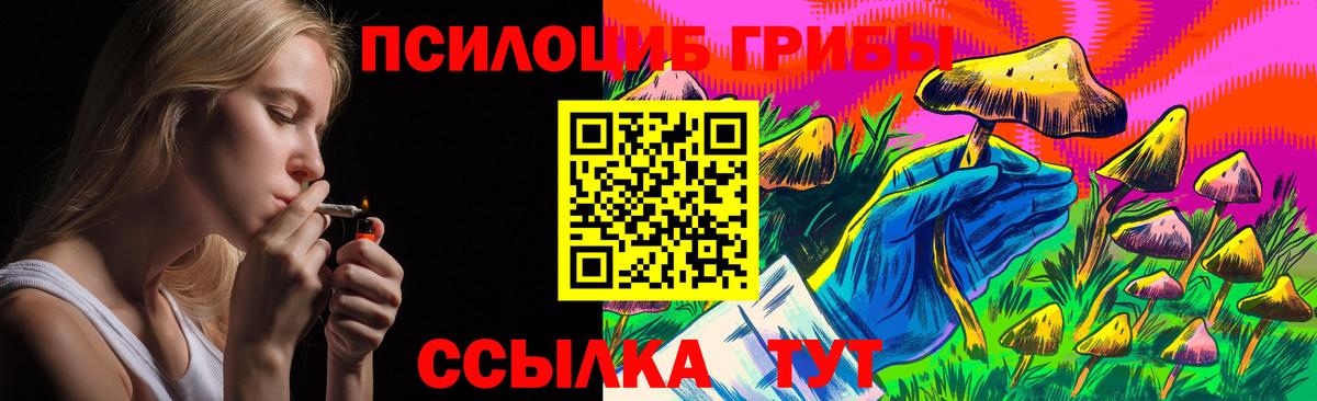 Галлюциногенные грибы Psilocybe Кохма