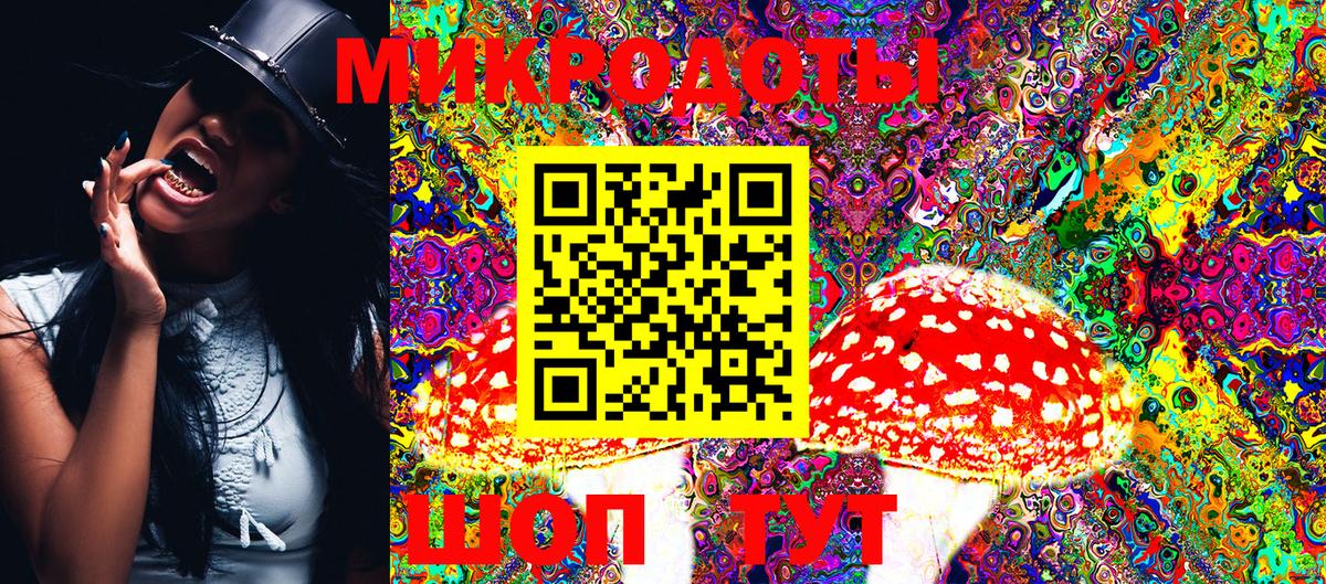 Галлюциногенные грибы Cubensis  Галлюциногенные грибы Cubensis  Кохма  Вход с VPN 
