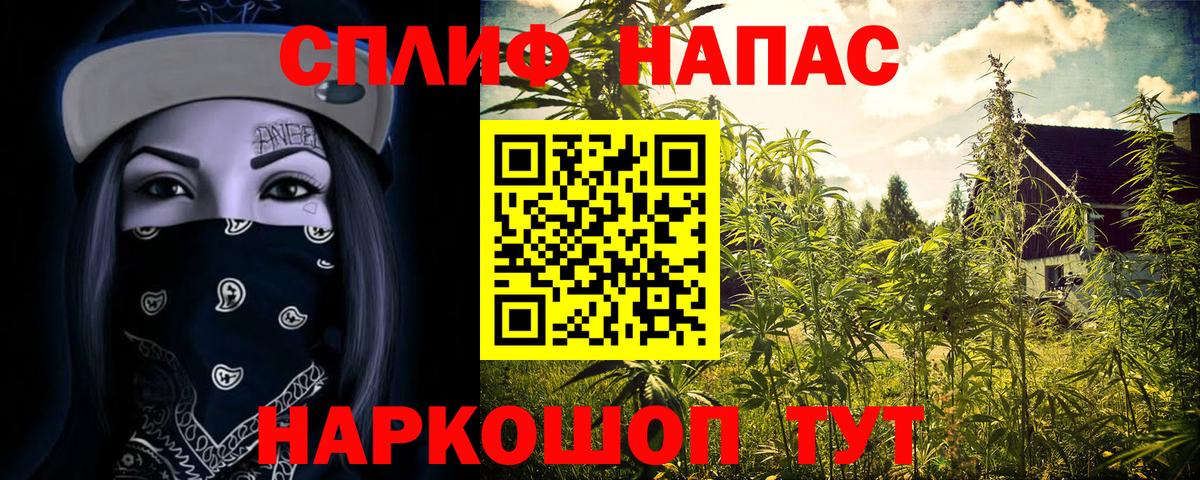 Бошки Шишки семена  Вход с VPN  Бошки Шишки ГИДРОПОН  Кохма 